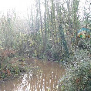 Earth works next to the gorilla moat, December 2020