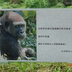 The gorilla got a baby.