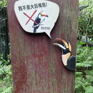 I am not a toco toucan !