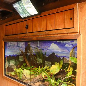 Reptile Enclosures