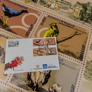 20th anniversary of the M’Bopicua Biopark