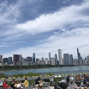 Shedd Aquarium: Chicago Skyline from Food Court Terrace