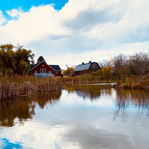 Doge nature center- view of barn from the marsh