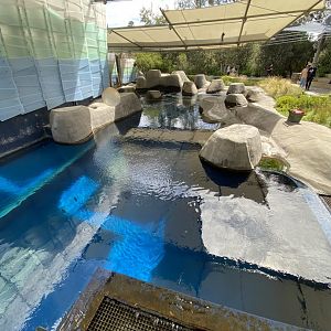 Seal Enclosure