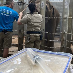 Man Jai training session