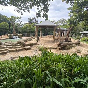 Bull Asian Elephant enclosure