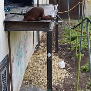 Kiani observes her surroundings