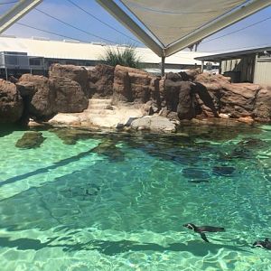 Humboldt Exhibit 1/4