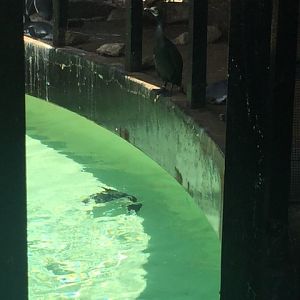 Humboldt Exhibit 2/4