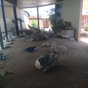 Humboldt Exhibit 4/4