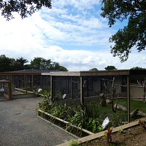 The Tropics aviaries