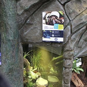 Land hermit crab tank in Wee Beasties