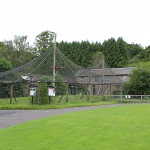 Overview of Waldrapp/Stork aviary