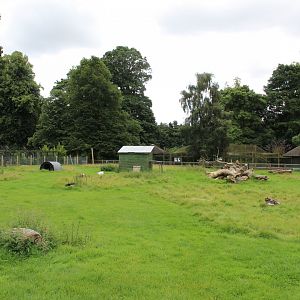 Overview of goat paddock