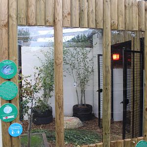 Chacoan mara enclosure