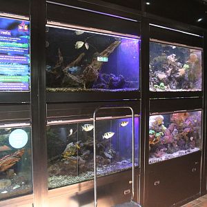 Brackish/Marine wall