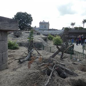 Meerkat Walk-through