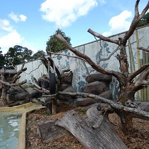 Binturong/Short-clawed Otter enclosure