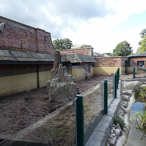 Aardvark outdoor enclosure
