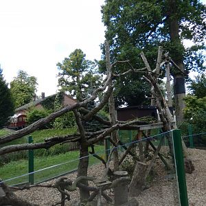 Red Panda outdoor enclosure