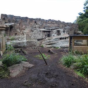 Giant Otter outdor enclosure