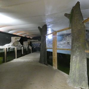 Giant Otter indoor enclosure