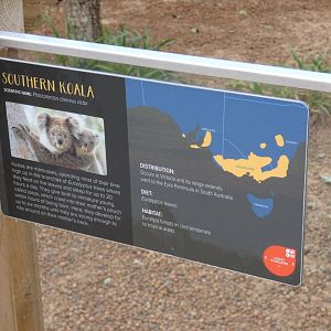Koala signage