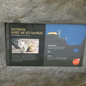 Southern Hairy-nosed Wombat signage