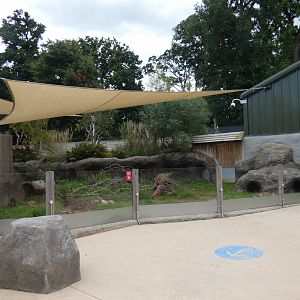 Southern Hairy-nosed Wombat outdoor enclosure (2)