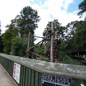 Red Panda enclosure by boat queue