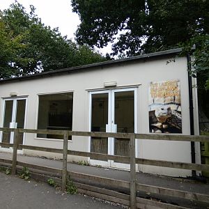 African Spurred Tortoise house