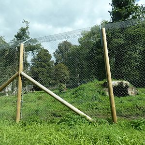 Spotted Hyena enclosure
