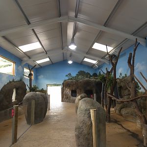 Koala house (1)