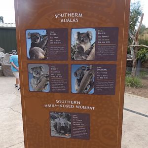 Koala & Wombat ID signage