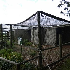 Red-legged Seriema aviary