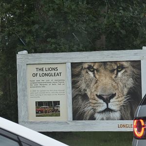 Lions of Longleat signage