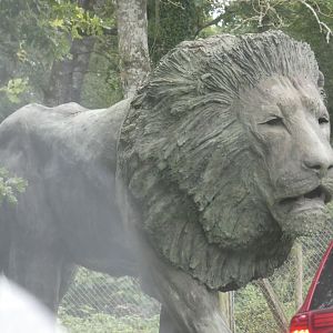 Lion statue