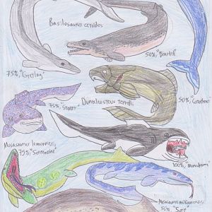 PKC: Pelagic predators