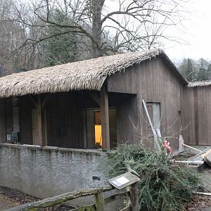 Chaco peccary house construction - view from gibbon house