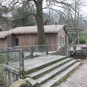 Chaco peccary house construction - view from marmoset house