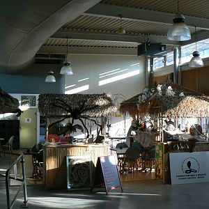 Planet Exotica - Little food and drink point