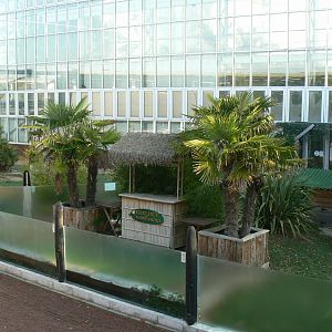 Planet Exotica - Presentation area for reptiles (and enclosure for leopard and hermann's tortoises)
