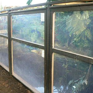 Planet Exotica - Dwarf crocodiles enclosure