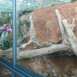 Planet Exotica - Empty exhibit in refurbishment