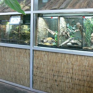 Planet Exotica - Terrariums for Brachypelma annita, Brachypelma emilia and scorpions