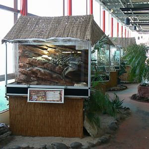 Planet Exotica - View on arttlesnakes terrarium