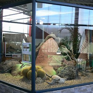 Planet Exotica - White-throated monitor enclosure