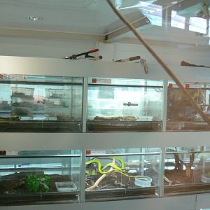 Planet Exotica - Breeding center