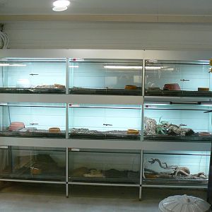 Planet Exotica - Breeding center