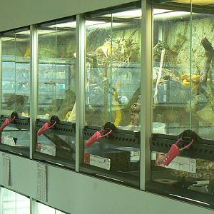 Planet Exotica - Breeding center